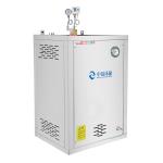 380V Natural Gas Fired Steam Generator Automatic LPG Gas Boiler Generator