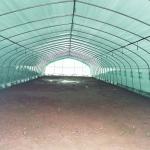 8x30 Meter Agricultural Commercial Vegetable Plastic Film Tunnel Greenhouse For