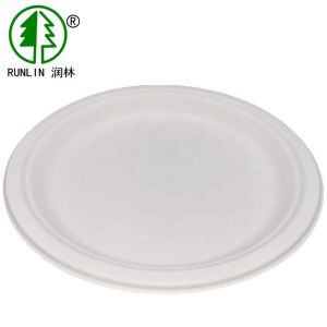 China Eco Friendly Strong Compostable and Biodegradable Non Plastic Plates factory