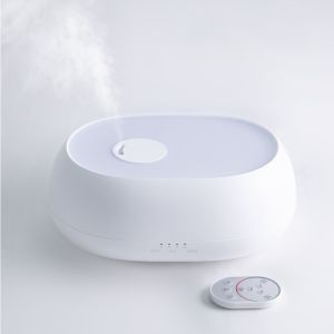 Homefish Smart Aroma Diffuser Oil Custom Diffuser Machine Ultrasonic Electric