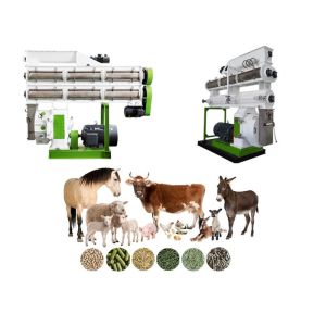 China High Performance Pellet Production Equipment Animal Feed Making Machine on sale