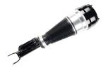 2213209513 Air Suspension Parts Air Suspension Strut