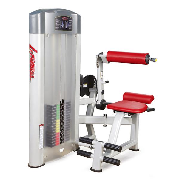 Wholesale gym fitness equipment seated back extension with factory production
