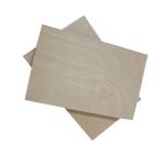 4x8 Ft 12mm 18mm Phenolic Glue Birch Faced Plywood