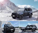 LHD/RHD 4x4 Euro V Baolong BJ80 Bullet-Proof Car,4x4 Light Armored Car