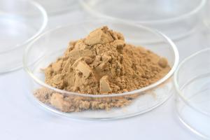 China Glucoamylase Beverage Enzyme Improve The Fermentation Degree factory