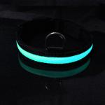 Wholesale waterproof usb rechargeable led dog collar