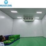 Customized Ice Cold Room Suitable For Supermarket Walk In Cooler