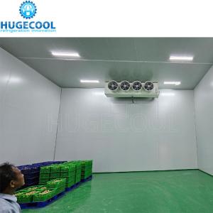 China Customized Ice Cold Room Suitable For Supermarket Walk In Cooler factory