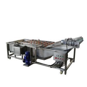 China Industrial Fresh Dry Dates Vegetable And Fruit Washing Machine factory