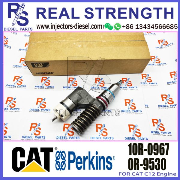 Common Rail Fuel Injector 10R-0967 0R-9530 166-0149 10R-1258 212-3465 212-3468 For Caterpillar C10 C12 Excavator