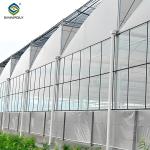 Galvanized Steel Gothic Shaped Greenhouse Snow Resistance With Ventilation
