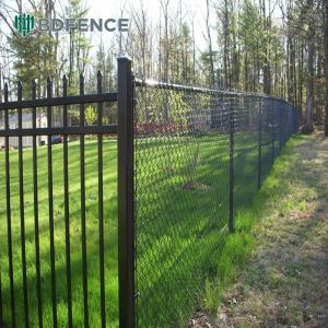 Gated Chain Link Fence Access
