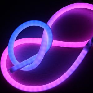 China Outdoor multi color waterproof IP65 RGB led decoration light 360 chasing led neon flex on sale