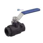 SS304 316 316L 1000WOG WCB High Pressure Ball Valve with Cylindrical Head Q11F