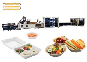 China Three Screw Blister Equipment Disposable Plastic Container Making Machine factory