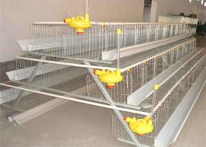 China Q235 Layer Bird Cage 3 Tier 5 Doors Galvanized Chicken Layer Cages factory