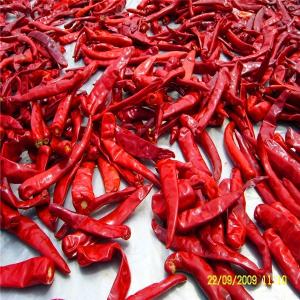 China AB Spicy Chilli Pepper Fine Powder COA Halal Certification 100g factory
