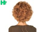 Women's Brown Synthetic Short Curly Wigs For African American