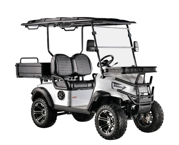 Support Customized Two-Seater Cargo Truck 4kw Aluminum Alloy Carbon Steel Plastic Rear Bucket