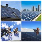2024 Trina Bifacial NEG20C.20 620W 625W 630W 635W 640W 645W Monocrystalline