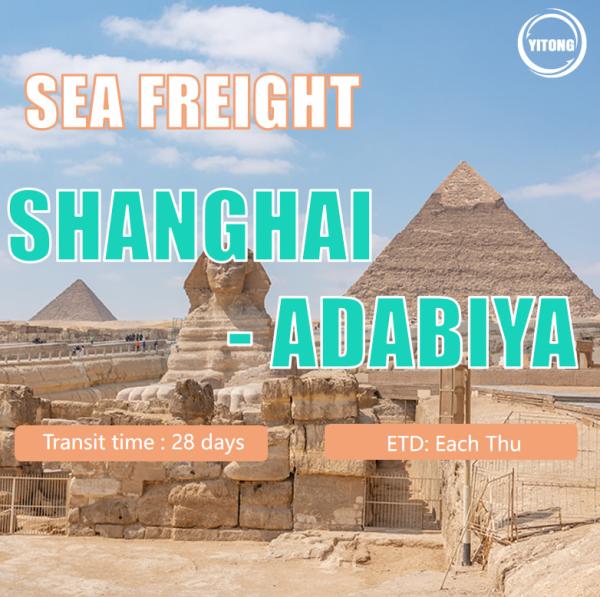 China Forwarder/Air Flight/Sea Shipping/Express/Logistics/ Consolidate Parcels