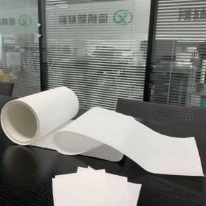 0.1µm Pore Size PVDF Membrane Hydrophobic Filters For Bacterial Retention