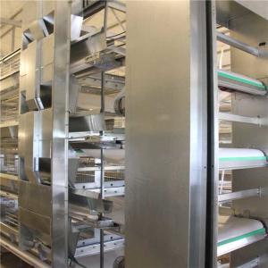 China Mechanical Livestock Farming Equipment , Manure Removal Battery Cage System factory