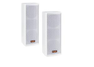 China Passive Portable Sound System , 120W Min 5 inch White Colum Speaker factory