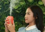 Lemon humidifier commercial ultrasonic air humidifier diffuser portable