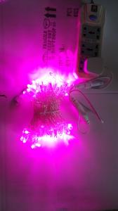 China led string light water-proof IP65 for holiday decoration factory