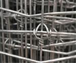 High Carbon Steel Wire 2mm Dia Fixed Knot Fence