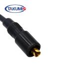 12453548 12453564 12453562 Prechamber Spark Plug For Gas Engines Parts