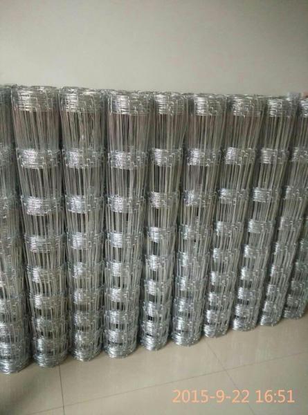 Wire Farm Fence used for sheep/Stocke/House Fence/150mm X150mm Hole, 1.5mWidth