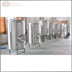 300L restaurant beer making equipment for sale with long warranty time