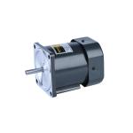 30w 70mm Electric Ac Motors Electric Motor Speed Control Induction Reversible