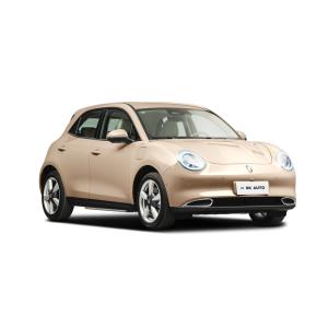 China Great Wall ORA Good Cat EV 400km Endurance 5 Seater Electric Car factory