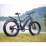 48V 17Ah 1000W Electric Fat Tire Bike 7 Speed Double Suspension Electric Bike