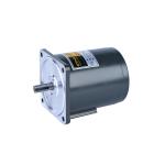 Brake Type Induction Electric Motor 6rk120w 104mm CE UL Certificate
