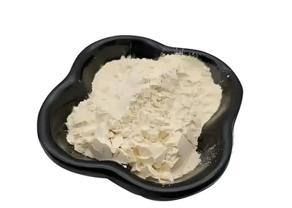 Boost Your Protein Intake With Pea Protein The Perfect Addition To Plant-Based