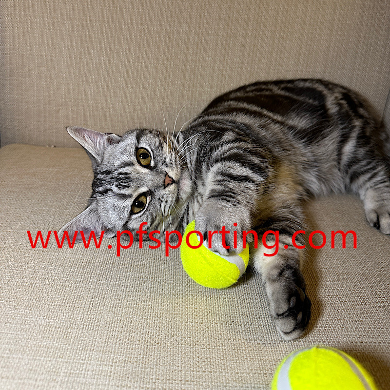 large dog tennis ball