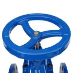 Ductile Iron Manual Elastic Soft Sealing Gate Valve DN50 100 150 for Water Media