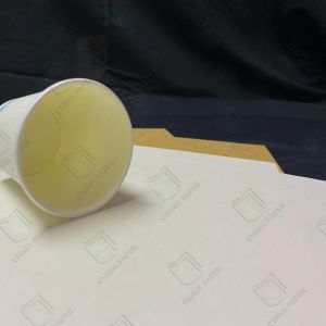 Lightweight Clay Composite Paperboard For Durable Disposable Cups