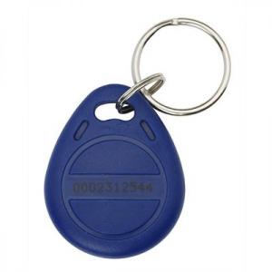China Waterproof EM4200 Key Fob Rfid Tag 125khz Blue Color Silk Screen Printing factory