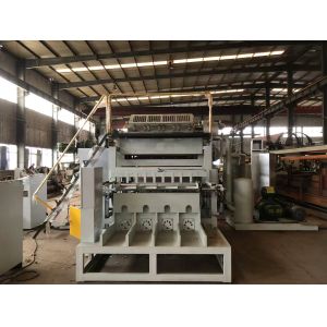 Waste Paper Pulp Egg Tray Making Machine , Fruit Tray Making Machine Large