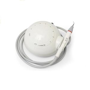 Detachable Autoclavable Optical Ultrasonic Scaler Five Scaling Tips One Year