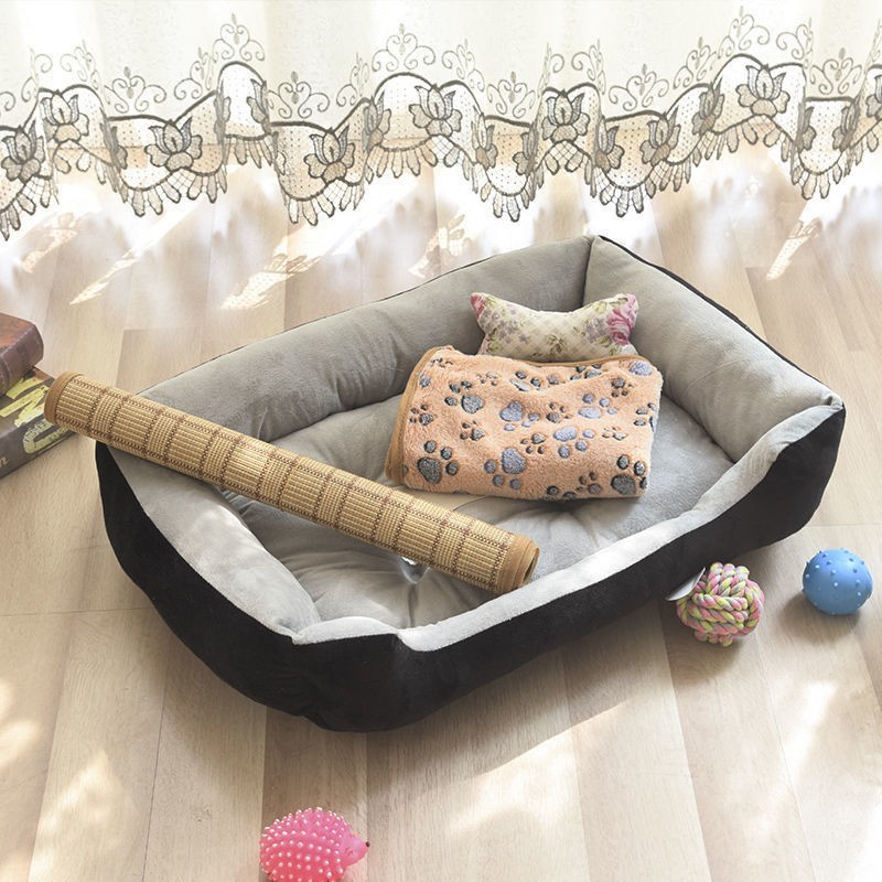  best dog cot