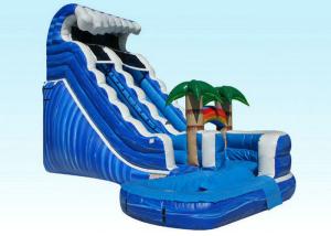 China PVC Kids Inflatable Water Slide , Blue Jungle Monster Inflatable Wave Pool Slide factory