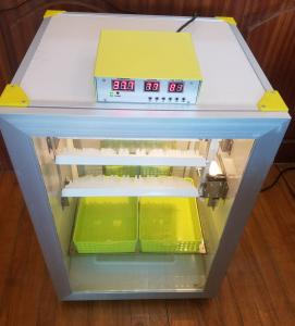 China 160 Eggs Cabinet Pheasant Egg Incubator Poultry Farm Incubator Rearing factory