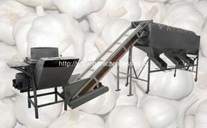 China Automatic Garlic Separating and Grading Machine factory